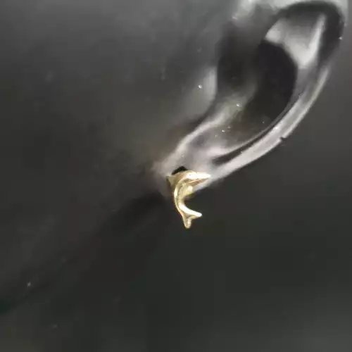 10K Yellow Gold Dolphin Earrings 8mm S10BO11-3