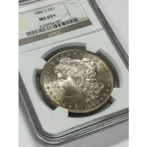 1880 (5)