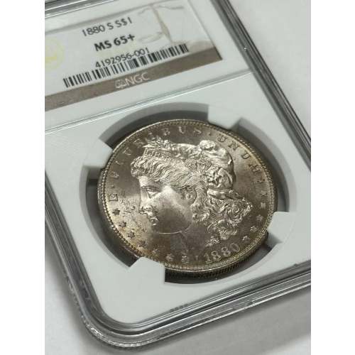 1880 (5)