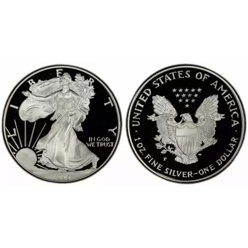 1996  1oz Silver Eagle  Proof - with Original Govt Packaging  (3)