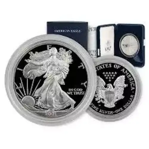 1oz Silver Eagle  Proof - with Original Govt Packaging (3)