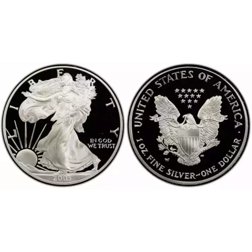 2003-W 1oz Silver Eagle  Proof - with Original Govt Packaging  (3)