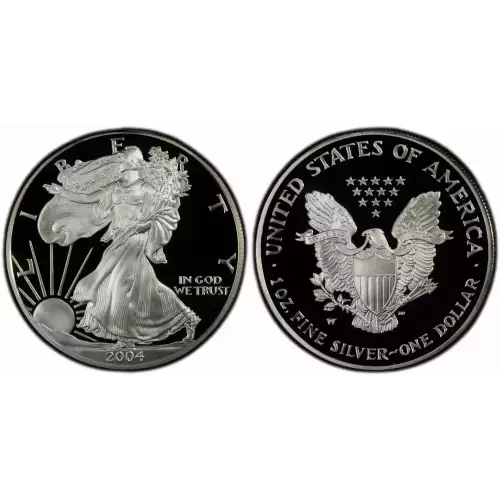 2004-W 1oz Silver Eagle  Proof - with Original Govt Packaging  (3)