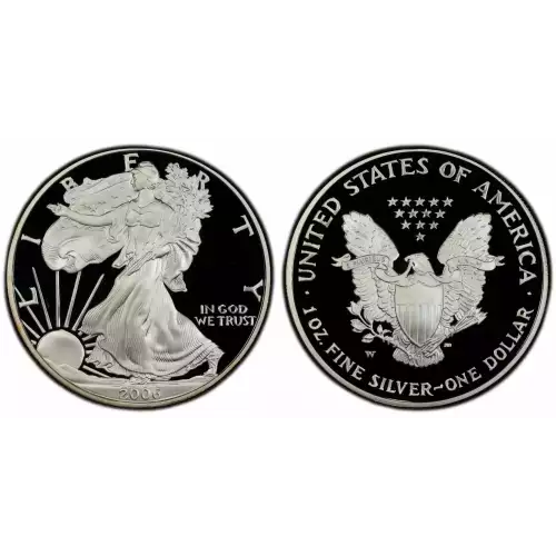 2006-W 1oz Silver Eagle  Proof - with Original Govt Packaging   (3)