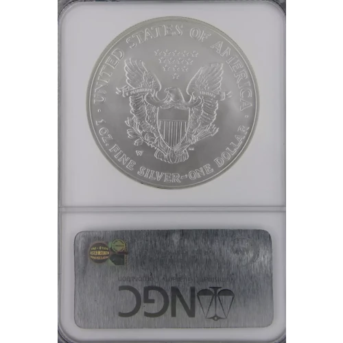 2007 W BURNISHED SILVER EAGLE EARLY RELEASES