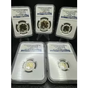 2014 CANADA SILVER MAPLE NGC PF 70 S$5 GILT-REVERSE PROOF 5 COIN SET Blue