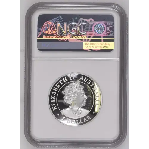2020P Koala Incuse - High Relief ULTRA CAMEO (3)