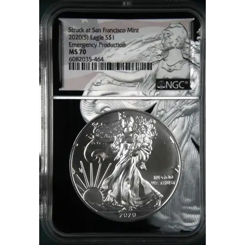 2020(S) Emergency Production Struck at San Francisco  (2)