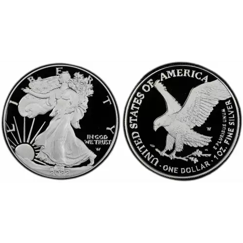2022 1oz Silver Eagle  Proof - with Original Govt Packaging   (3)