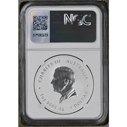 2025P Year of the Snake (3)