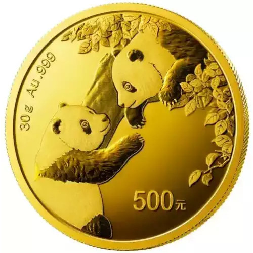 30g Chinese Gold Panda (2)