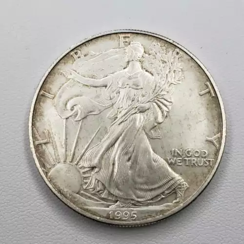 Any Year (Imperfect) 1oz American Silver Eagle (5)