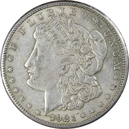 Any Year - Morgan Dollar Circulated (VG-XF) (2)
