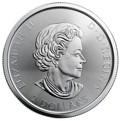 Canadian 1/2 oz Red Tailed Hawk Silver Coin - Birds of Prey Series (Privy) (2)