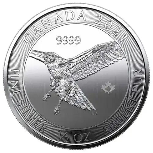 Canadian 1/2 oz Red Tailed Hawk Silver Coin - Birds of Prey Series (Privy)