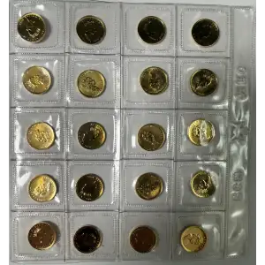 Lot/Sheet of 20-ea 1/20oz Canadian Gold Maple Coins 1-oz Total  (4)