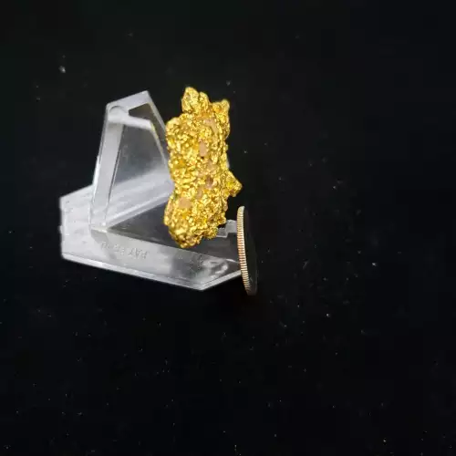 Solid Gold Nugget Completely Natural Huge 28.7gm  DsplCase (2)